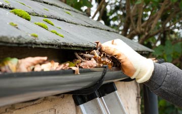 gutter cleaning Isle Abbotts, Somerset