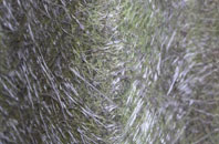 Isle Abbotts fibreglass roof work